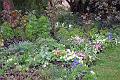 4. Spring flowers
